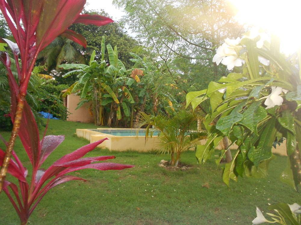 Gipsy Ranch Rooms Cabarete Eksteriør bilde